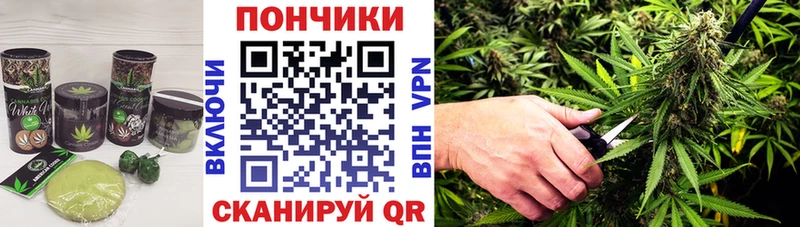 Canna-Cookies конопля  Афипский 