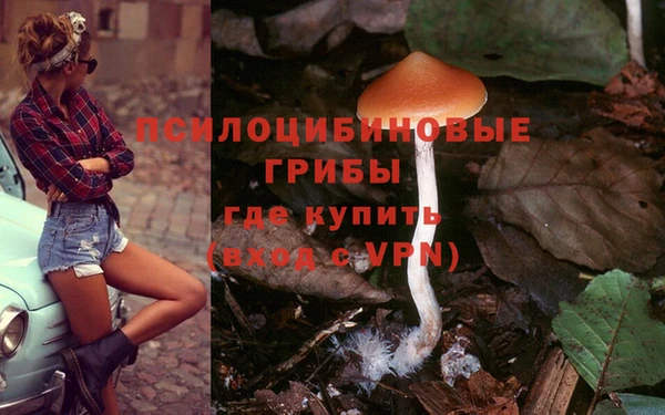 мяу мяу мука Богородицк