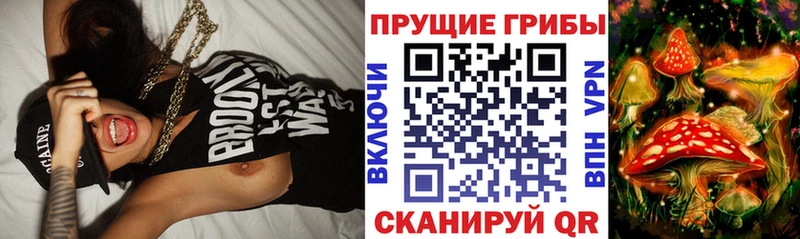 Псилоцибиновые грибы мицелий  Афипский 